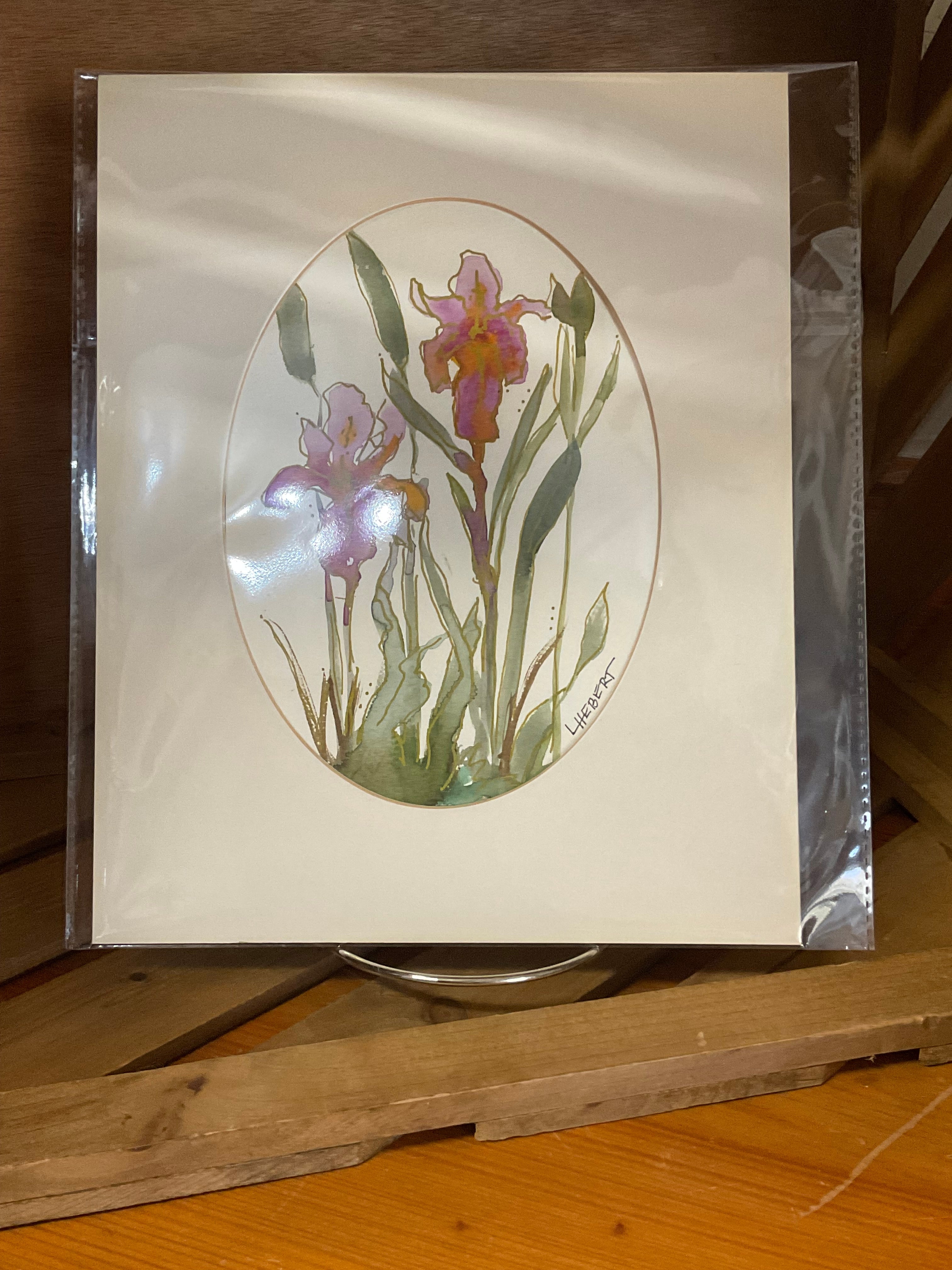 Whispering Iris